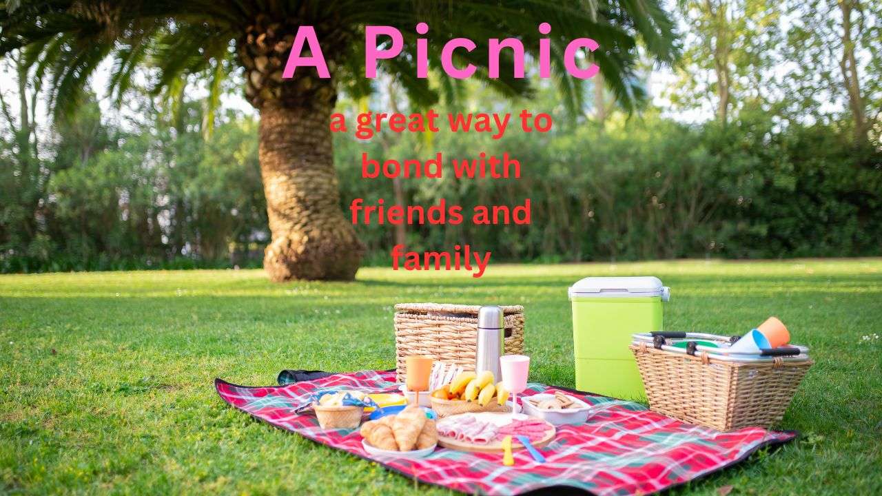 Paragraph Writing in English on A Picnic 87knowledge